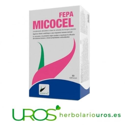 Fepa Micocel - hongos en cápsulas para tu sistema inmune Fepa Micocel - tu extracto de hongos y plantas para aumentar naturalmente tus defensas Tu apoyo para tus defensas naturales y tu antioxidante natural  - 60 cápsulas para un mes 