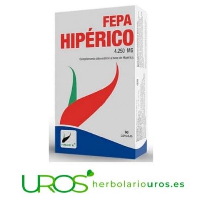 Fepa Hipérico - tu remedio natural en cápsulas Fepa Hipérico - tu remedio natural de hipérico en cápsulas Descubre las propiedades y beneficios de tomar hipérico - cápsulas en dosis elevadas