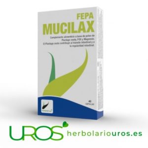 Fepa Mucilax - tu laxante natural con plantago ovata Tu laxante natural en tu envase grande de 40 cápsulas Fepa Mucilax te aporta plantago ovata y los fructo-oligosacáridos (FOS) para ayudarte en mejor regularidad intestinal - tu aporte de bienestar digestivo