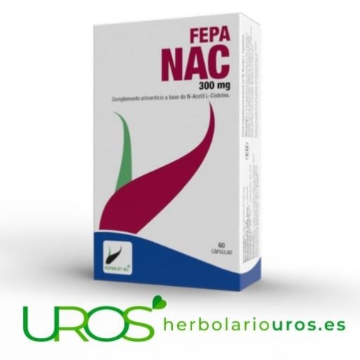 Fepa NAC 300 mg - acetilcisteína en cápsulas 60 cápsulas de Fepa Nac - acetilcisteína pura en cápsulas El Fepa NAC: Tu aporte elevado de N-Acetil L-Cisteína como tu antioxidante natural 