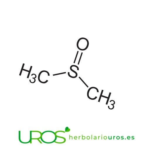 Dimetilsulfóxido (DMSO) - qué es y que propiedades y beneficios te aporta