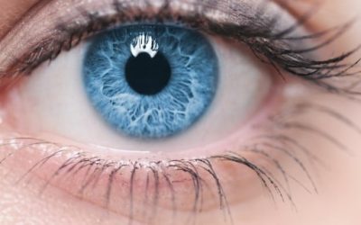 Suplementos para la vista: Remedios para tu vista