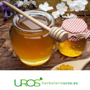 La miel de lavanda - tu miel artesana de Alcarria 2 La miel de lavanda Descubre todas las propiedades y beneficios de la miel de lavanda Tu miel artesana de Alcarria para aumentar tu energía y tus defensasa naturales - tu manera dulce de cuidar tu salud