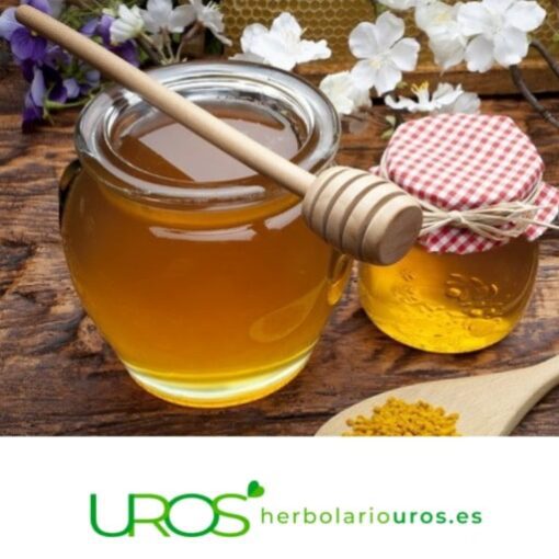 La miel de lavanda Descubre todas las propiedades y beneficios de la miel de lavanda Tu miel artesana de Alcarria para aumentar tu energía y tus defensasa naturales - tu manera dulce de cuidar tu salud 