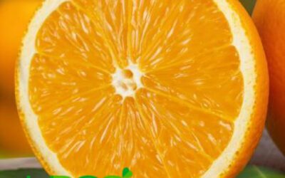¿Qué Es La Vitamina C Liposomada?