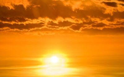 Vitamina D ¿Para qué sirve? Descubre sus beneficios y propiedades