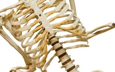 ¿Cómo fortalecer los huesos y las articulaciones? Descúbrelo