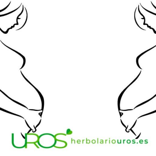 Los mejores suplementos en embarazo Descubre los mejores suplementos para estar bien nutrida Los mejores complementos naturales en el embarazo