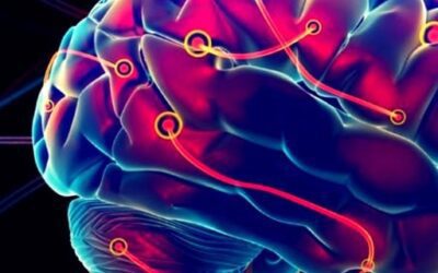 ¿Cuáles son los nootrópicos naturales?