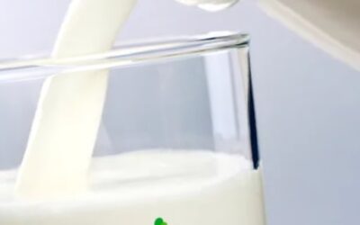 Blog de salud 17 ¿Calostro qué es? Descubre sus beneficios