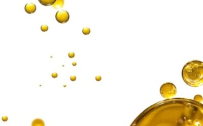 Blog de salud 10 ¿Cómo saber si el Omega 3 es de buena calidad?