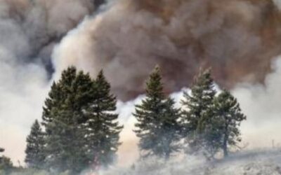Blog de salud 13 Dejar de fumar – metodos para dejar de fumar