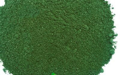Blog de salud 16 Espirulina beneficios y propiedades