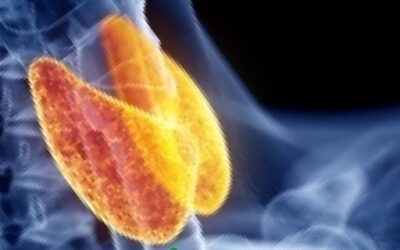 Blog de salud 11 Remedio para la tiroides – los mejores suplementos naturales