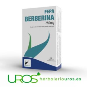 Fepa Berberina 60 cápsulas