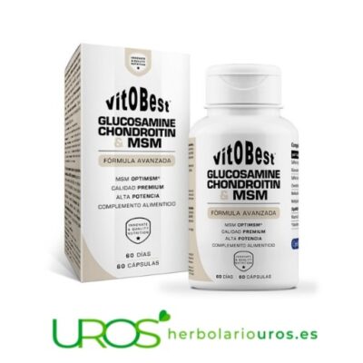 Glucosamina, condroitina y MSM en cápsulas Tus cápsulas para recuperación articular con gran aporte de glucosamina y condroitina Las cápsulas con gran aporte de glucosamina, condroitina, MSM (metilsulfonilmetano) y la vitamina D3  (colecalciferol)