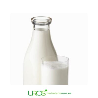 Leche de yegua - leche de yegua fresca Descubre los beneficios de la leche de yegua  Tu leche de yegua ecológica para 40 días - procedente de agricultura biodinámica 
