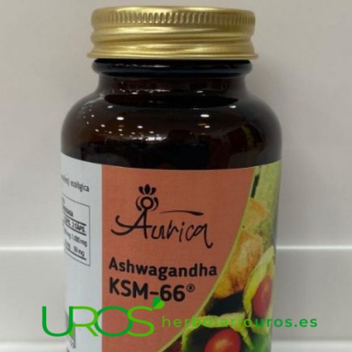 Ashwagandha KSM-66 en cápsulas 1 extracto patentado de la planta Withania somnifera (ashwagandha)
