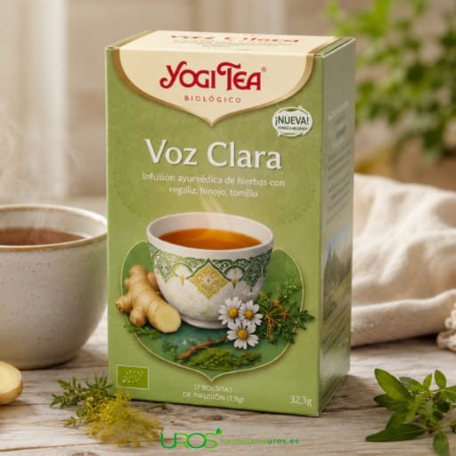 Cuidar la voz - los mejores consejos y suplementos naturales para tu voz, garganta y cuerdas vocales